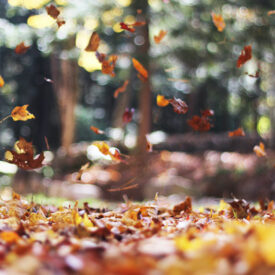 What to wear: Bank Holiday