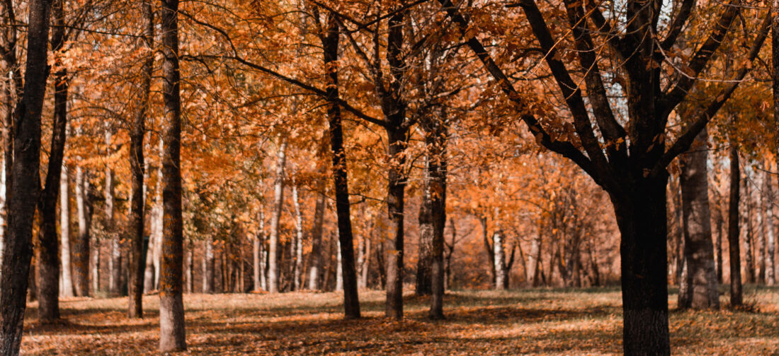 This Season’s Standout Colour: Rust