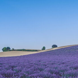 Our Gifts Range, Inspired By The Cotswolds