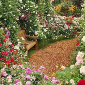 Behind-the-scenes at the RHS Chelsea Flower Show