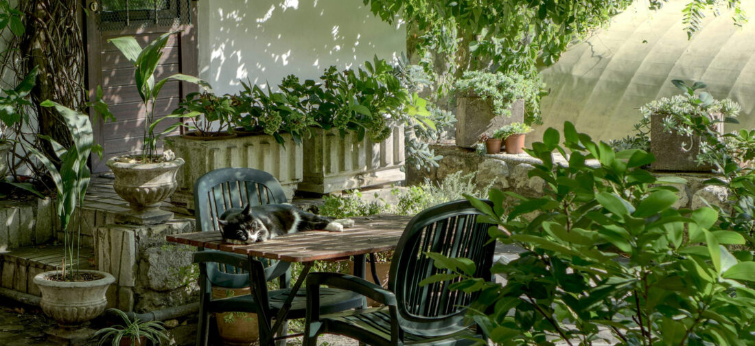 Make The Most Of The Season | Spring Activities