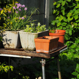 Gardening Gifts 2025 | Top Gifts for Gardeners